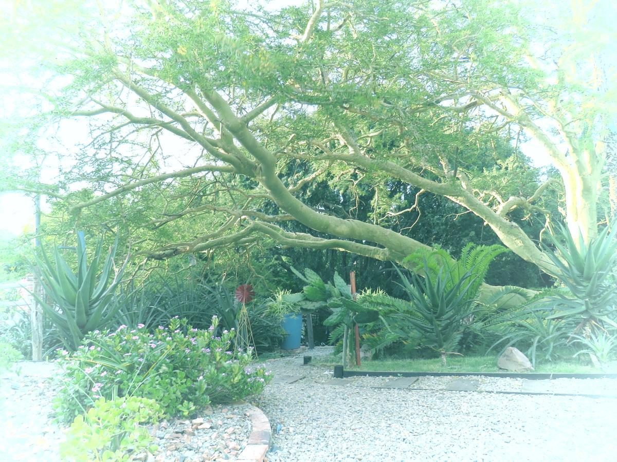 Wiltshire Rondavel Villa Port Alfred Luaran gambar